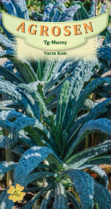 Varza Kale