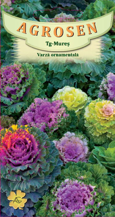 Varză ornamentală