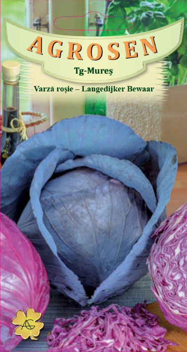 Varză roşie -Langedijker Bewaar
