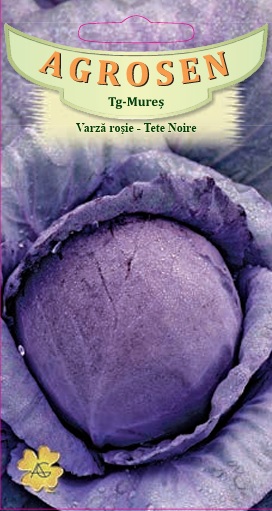 Varză roşie - Tete Noire