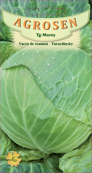Varză de toamnă - Varazdinsky
