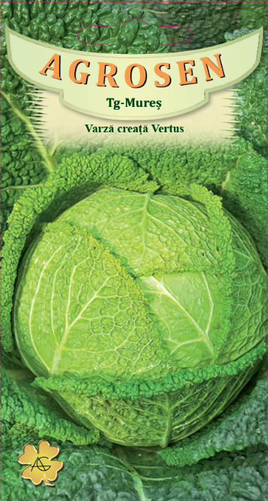 Varză creaţă - Vertus