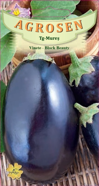 Vinete - Black Beauty
