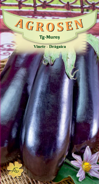 Vinete-Drăgaica