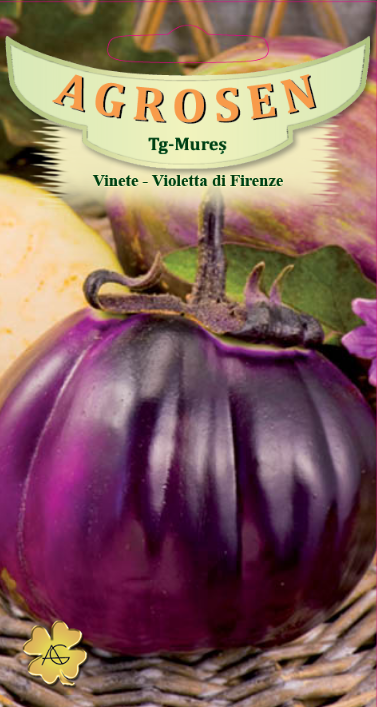 Vinete - Violetta di Firenze