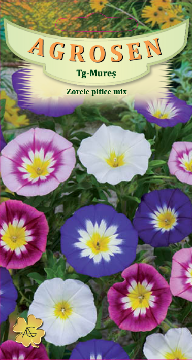 Zorele pitice