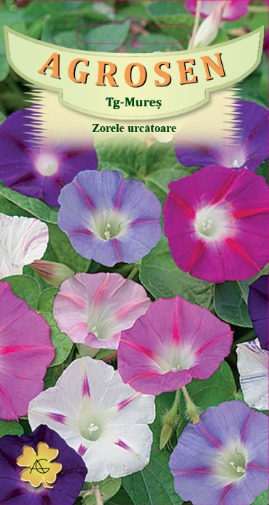 Zorele urcătoare mix