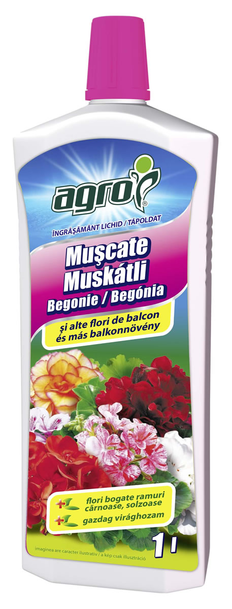 Ing.mușcate/ flori balcon - AGROCS