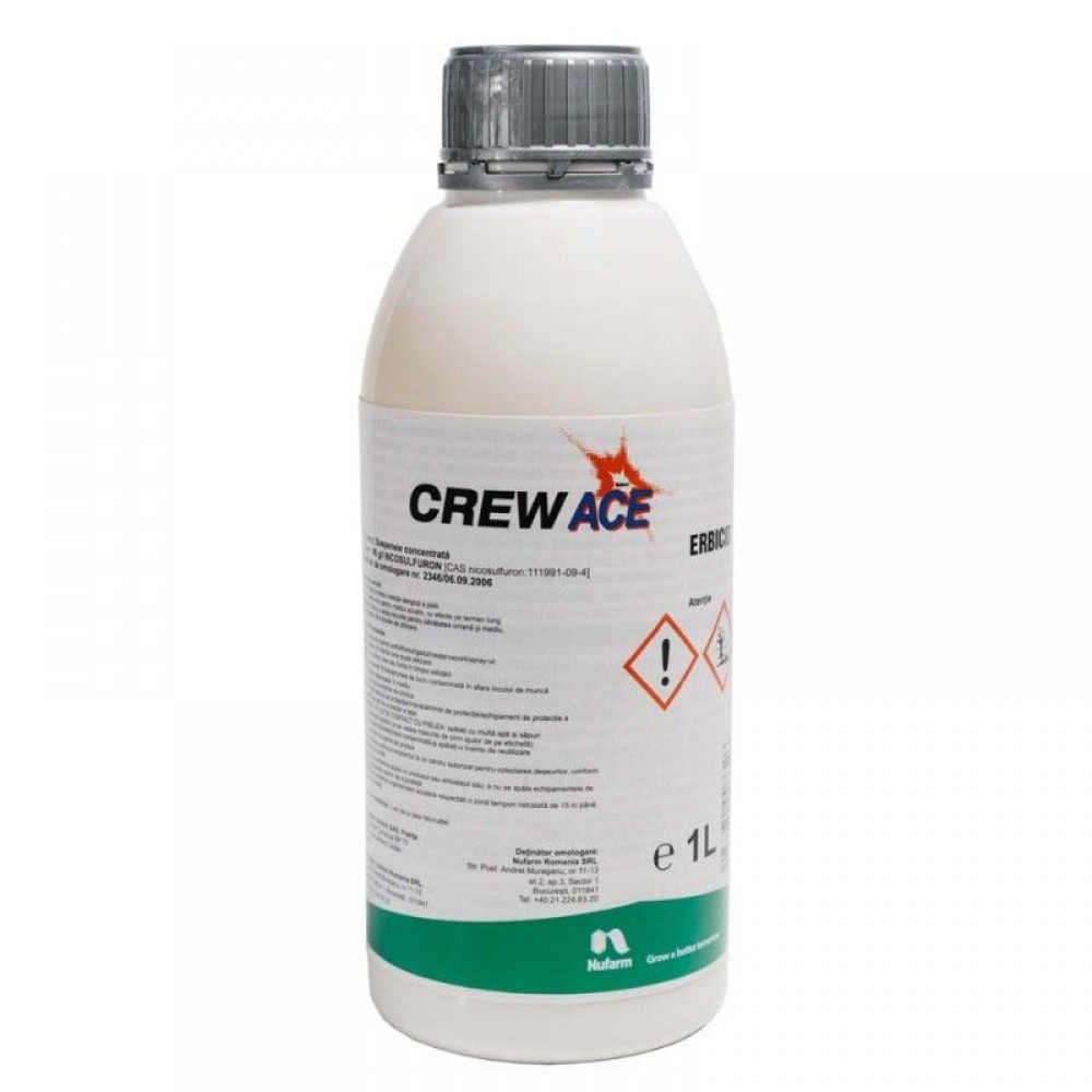 CREW ACE