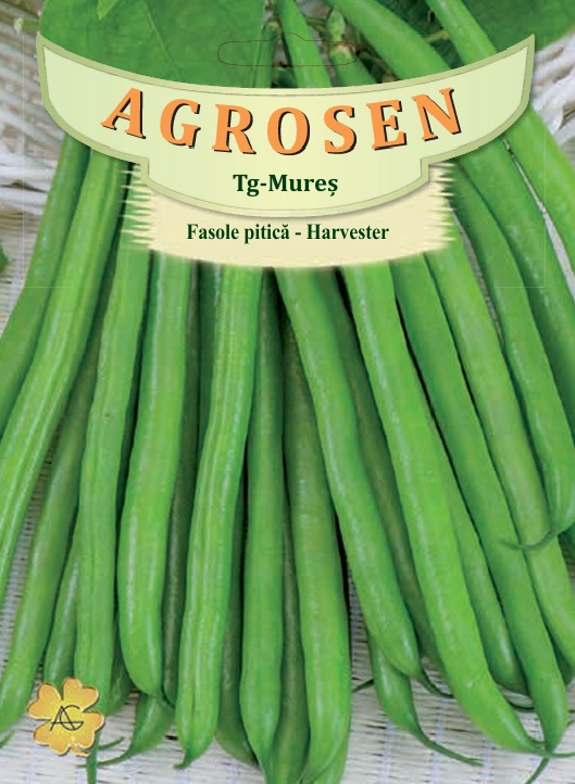 Fasole pitica - Harvester