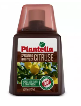 Ing. citrice Plantella - FLOROVIT