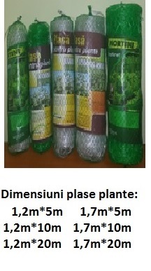 Plase plante/castraveti