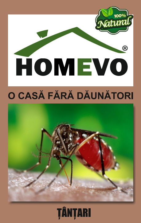 Tantari - HOMEVO